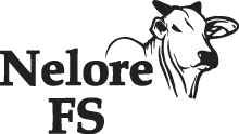 Imagem com logotipo de: Nelore FS